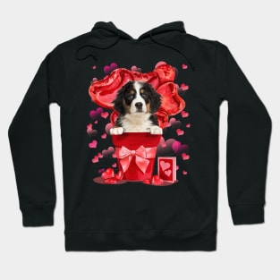 Bernese Mountain Dog In Red Pot Happy Valentine Hoodie